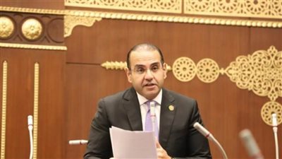 النائب محمد المنزلاوي: كلمة الرئيس السيسي في ذكرى ثورة يوليو تؤكد أن قوة الدولة تنبع من تلاحم القيادة والشعب