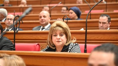 هناء أنيس: رقمنة تراث الإذاعة والتليفزيون تحافظ على ذاكرة مصر وتعزز قوتها الناعمة