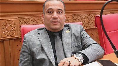 النائب هاني شحاتة: قانون التصالح وُضع لخدمة المواطنين.. وتأخر تنفيذ قرارات الكهرباء يضر الملتزمين