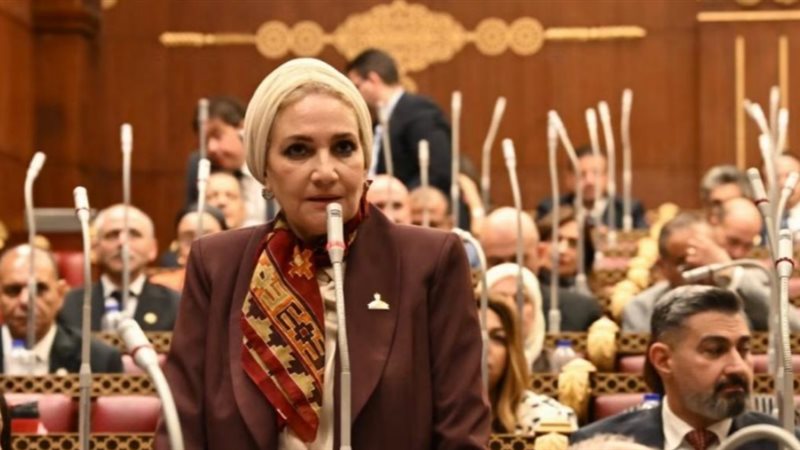 النائبة رانية صدقي