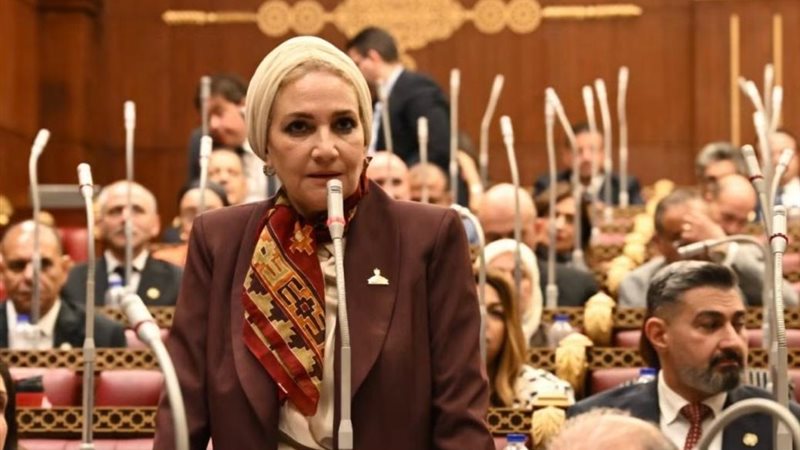 النائبة رانية صدقي