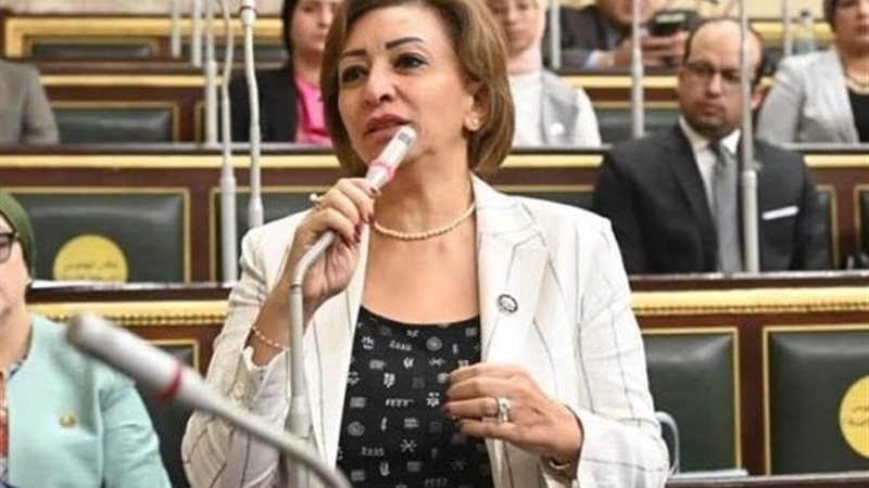 النائبة مها عبد الناصر