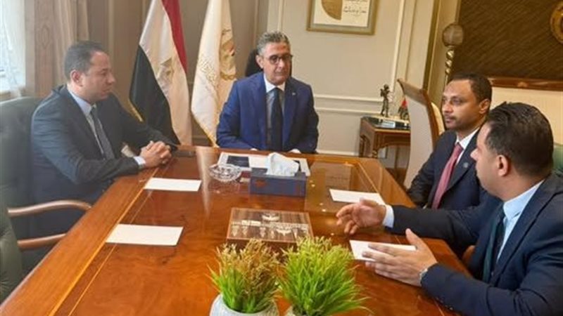 عضو مجلس النواب، النائب أحمد فرغلي
