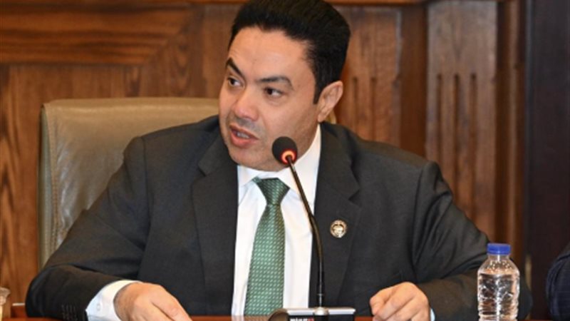 النائب إسماعيل الشرقاوي