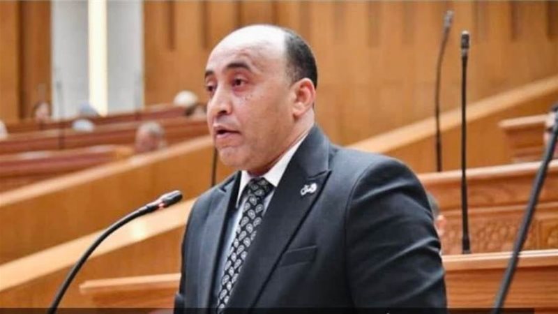 النائب حسام حسن الخشت