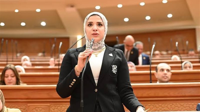 النائبة غادة قنديل