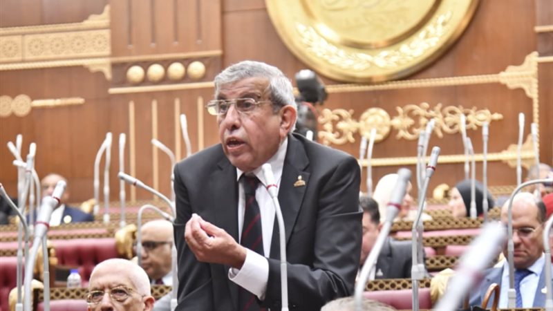 علاء عبدالنبي