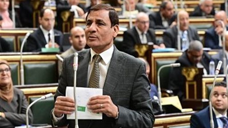 النائب محمد عبد العليم