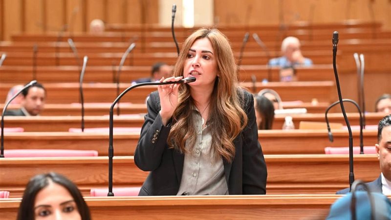 النائبة أميرة العادلي،
