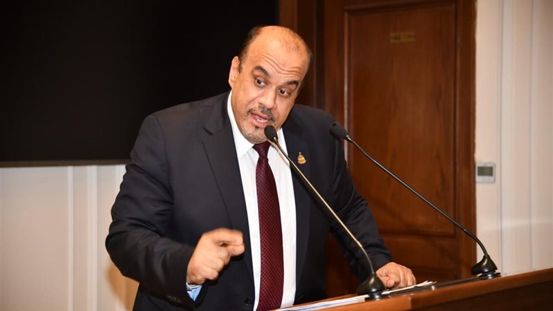 النائب إيهاب إمام