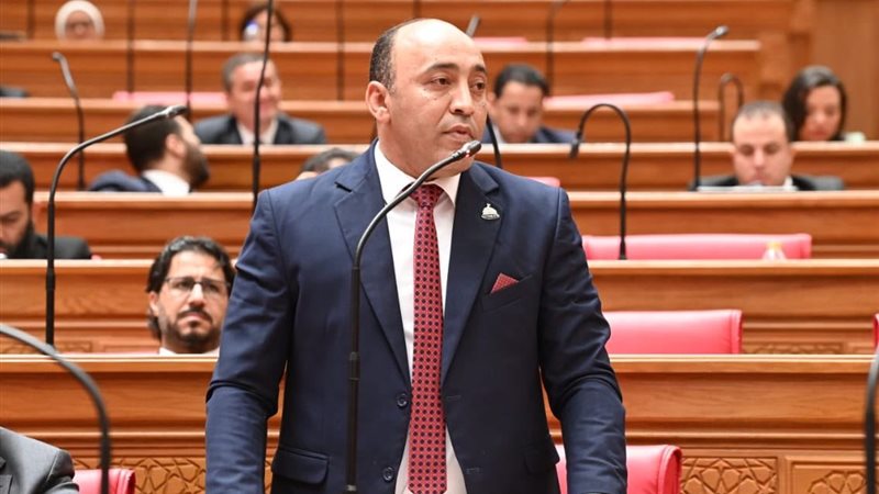 النائب حسام حسن