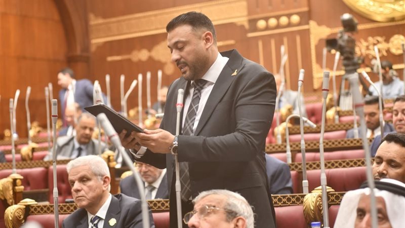  النائب عمر الغنيمي