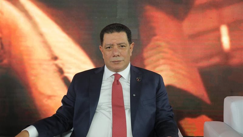 المستشار عربي زيادة، أمين التنظيم بحزب حماة الوطن