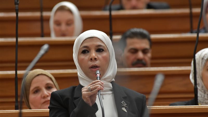 النائبة مريم العزب