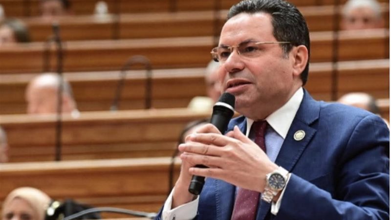 النائب هشام الحصري
