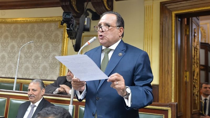 محمد صلاح أبو هميلة، رئيس لجنة الشئون العربية بمجلس النواب