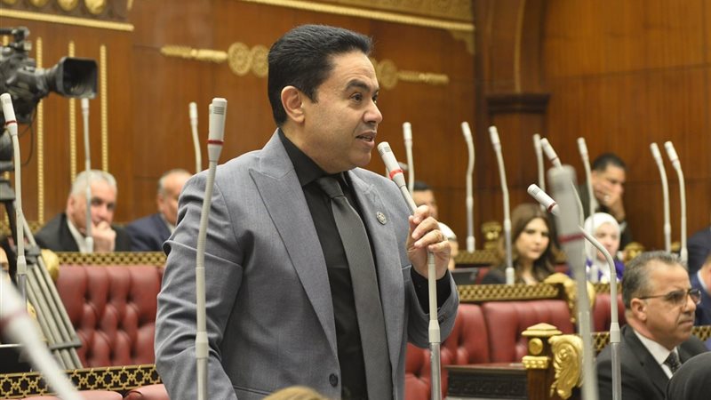 النائب إسماعيل الشرقاوي