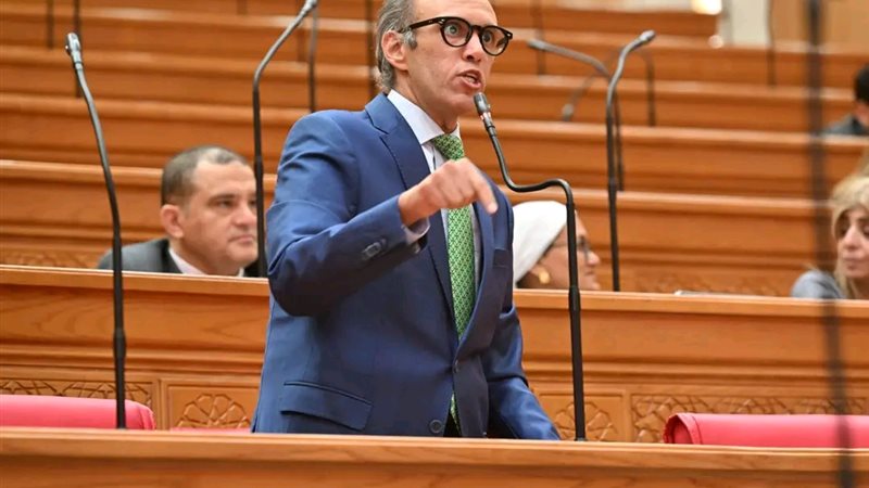 النائب محمد فريد