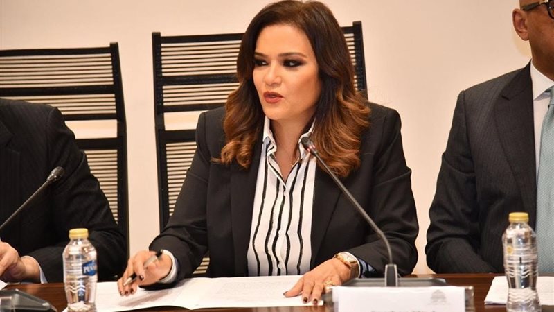 النائبة سحر طلعت