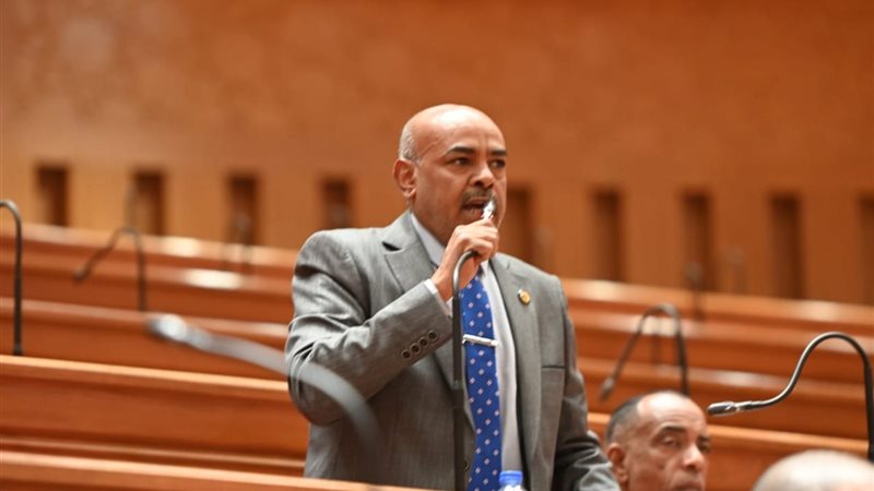 النائب محمد أبو الخير