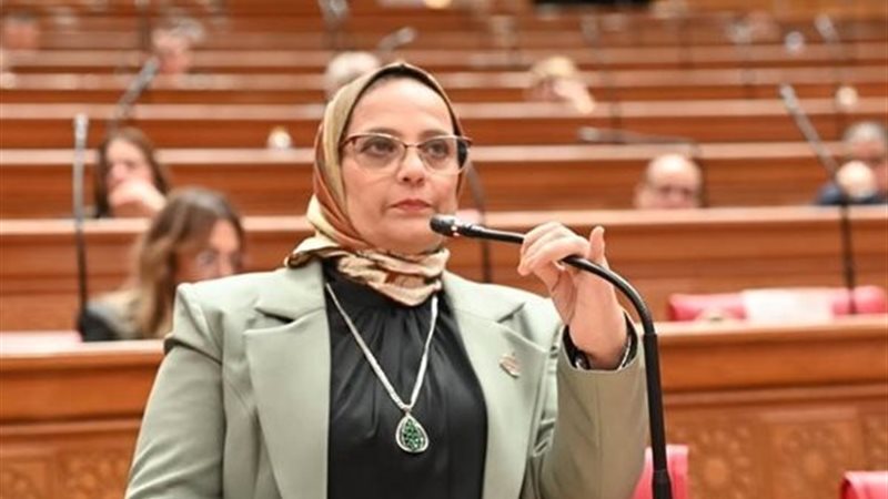  النائبة نجلاء العسيلي