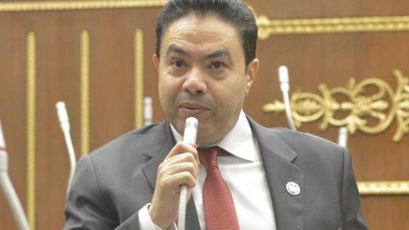 المهندس إسماعيل الشرقاوي، عضو مجلس الشيوخ