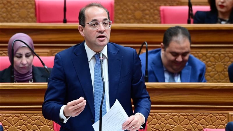وزير المالية احمد