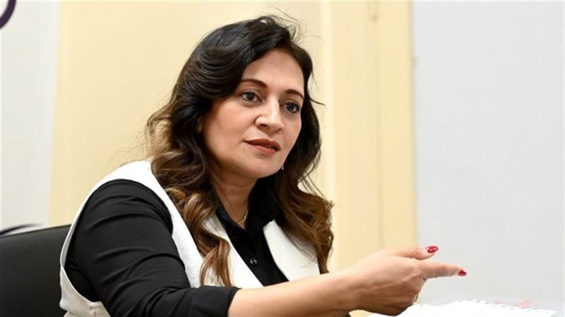 عضو مجلس الشيوخ النائبة نيفين فارس