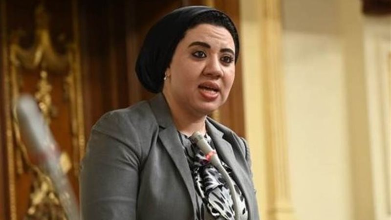 النائبة أميرة صابر