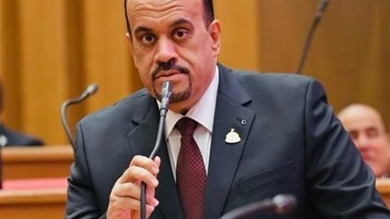 النائب إيهاب إمام