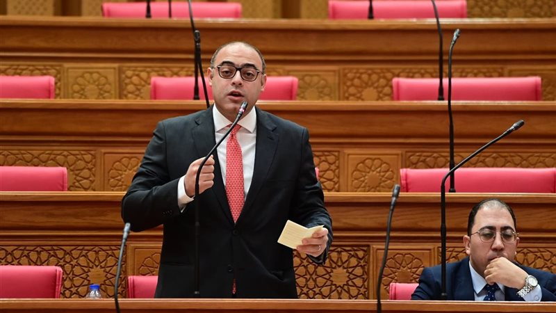 أحمد علاء فايد