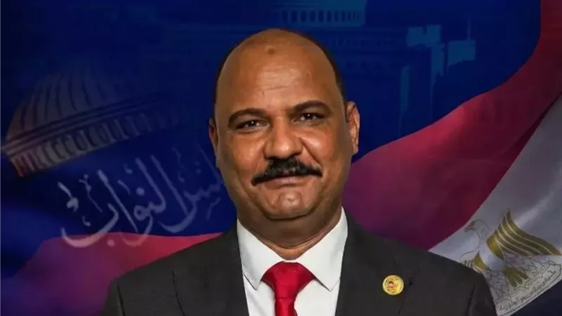النائب علي سيد معوض