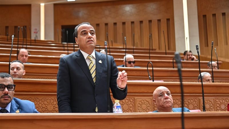 ممدوح جاب الله 
