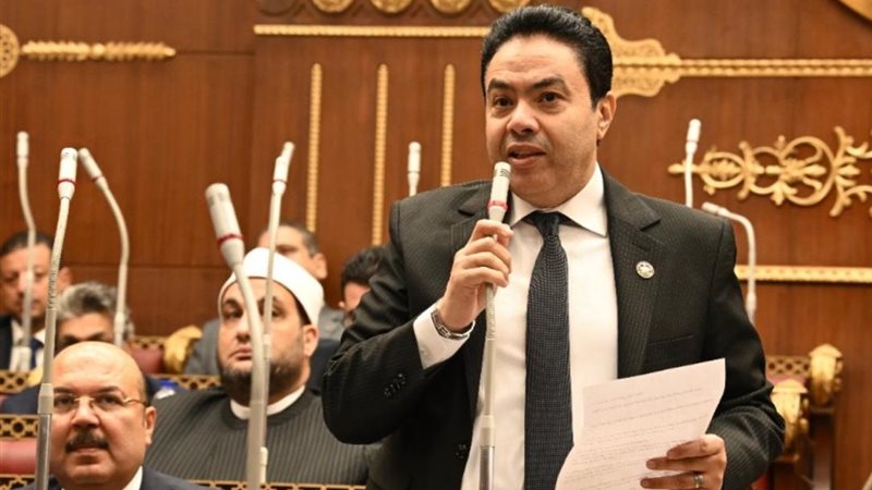 النائب إسماعيل الشرقاوي