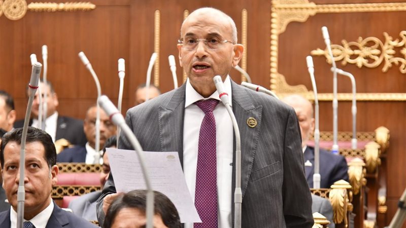 النائب أشرف عبد الغني
