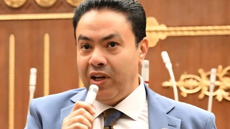 النائب إسماعيل الشرقاوي