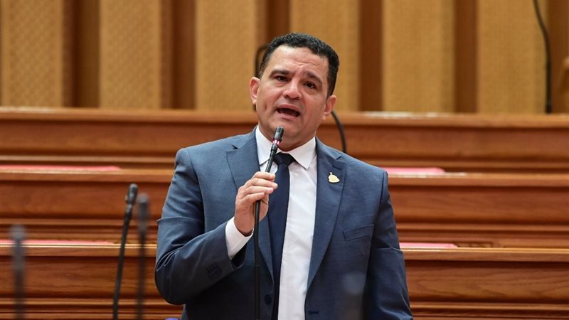 النائب أمير الجزار