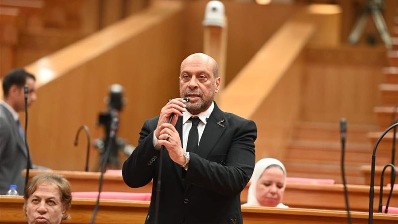 النائب محمود الشامي