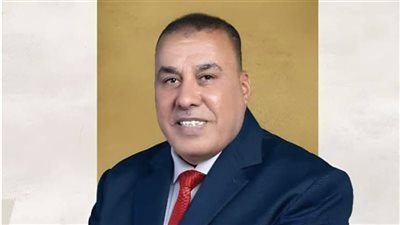 النائب محمد أبو النصر: الاستثمار في الأمن الغذائي ركيزة للاستقرار الاقتصادي والاجتماعي