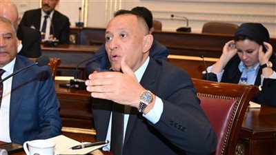 وكيل خارجية الشيوخ: المصريين بالخارج قوة ناعمة وركيزة لدعم الاستثمار