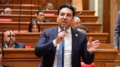 أيمن محسب: توجيهات الرئيس السيسي بشأن الأمن الغذائي ترسم ملامح مرحلة جديدة لحماية المواطن