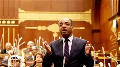 النائب علي مهران : مصر تقود معركة السلام والإنسانية وموقف الرئيس السيسي تجاه فلسطين ثابت