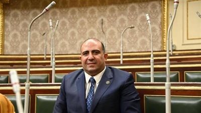 مقترح برلماني لإنشاء مناطق صناعية مصرية بأفريقيا لتعزيز النفاذ إلى الأسواق