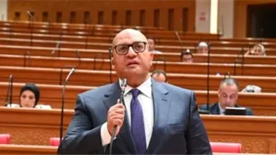 النائب أحمد الشناوي: الشفافية في حادث ميناء دمياط عززت ثقة المواطنين في مؤسسات الدولة.