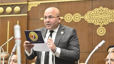 النائب إبراهيم عيسى: تجاوز الصادرات الزراعية 6.2 مليون طن يعكس قوة القطاع الزراعي