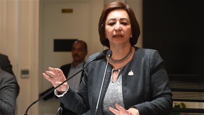 النائبة مها عبد الناصر: حرية تداول المعلومات ضرورة لمواجهة الشائعات وتعزيز الشفافية