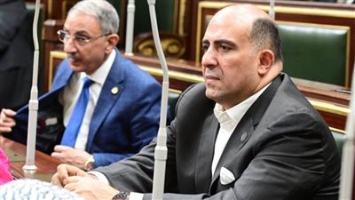 النائب محمد سليم: مصر تتمسك بوحدة السودان وسيادته وتدعم حلًا سودانيًا خالصًا