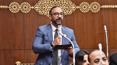 النائب أحمد الحمامصي: حماية الآثار واجب.. لكن هل ينطبق قانون الإعلانات على العلم المصري؟