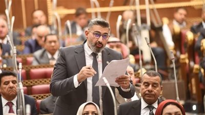 ياسر جلال يطالب بحماية رموز القوة الناعمة المصرية ومواجهة الإساءة والتشهير عبر مواقع التواصل