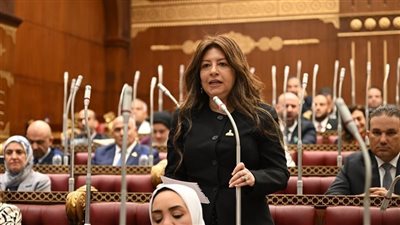 النائبة سوزي سمير: الدور المصري في غزة يجسد موقفًا تاريخيًا ثابتًا في دعم الحقوق الفلسطينية